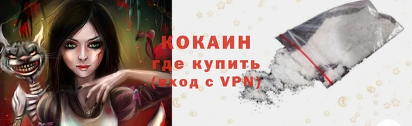 a pvp Пересвет