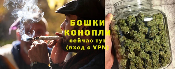 a pvp Пересвет