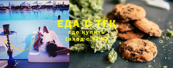 прущие грибы Переславль-Залесский