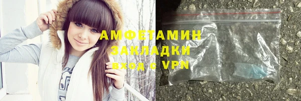 прущие грибы Переславль-Залесский